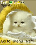 WapVp