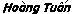 WapVp